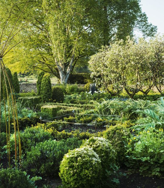 dimitri-at-zaur-di-zaur-mosidze-UVJ24ZV_1765877054